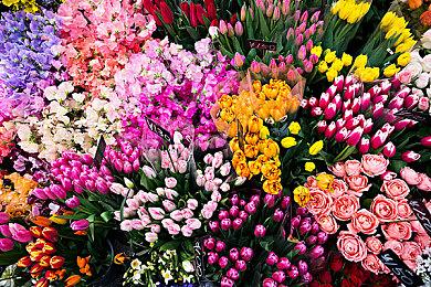 《索尼克：起源》发布升级档 修复泰尔斯消失BUG